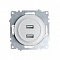 Розетка USB двухместная СП Florence 16А IP20 с подсветкой механизм бел. (1E10351300) OneKeyElectro